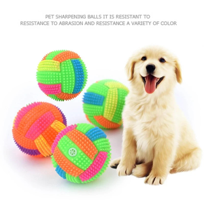 Glowing Squeak Dog Ball